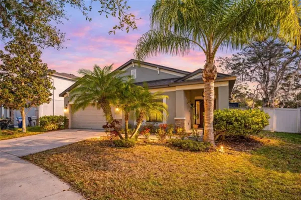 11652 Palmetto Pine Street, Riverview, FL, 33569