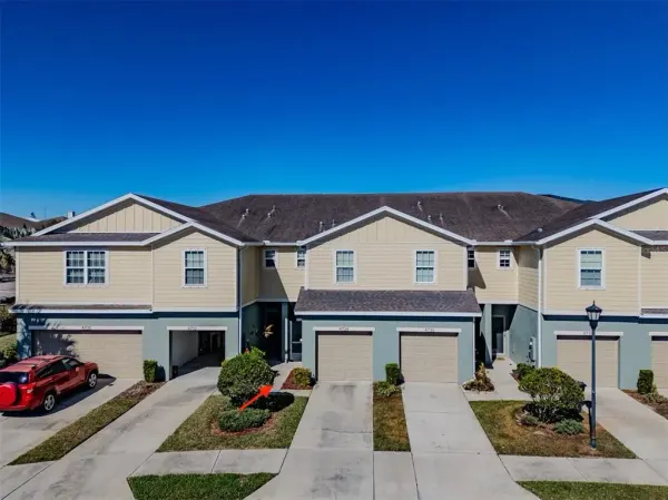 4734 White Sanderling Ct Court, Tampa, FL, 33619