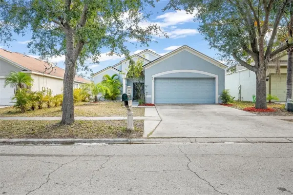 6811 Monarch Park Drive, Apollo Beach, FL, 33572