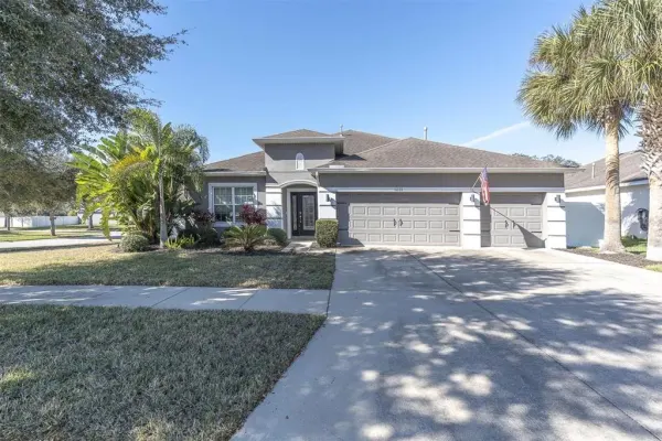 10223 Caraway Spice Avenue, Riverview, FL, 33578