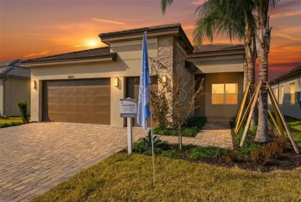 32623 Neroli Street, Wesley Chapel, FL, 33543