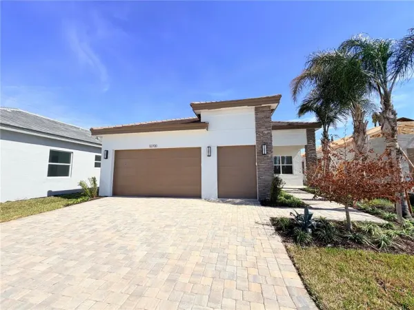32700 Neroli Street, Wesley Chapel, FL, 33543
