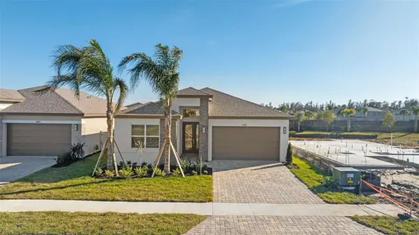 3392 Malta, Wesley Chapel, FL, 33543