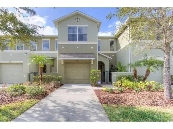 2955 Willowleaf Lane, Wesley Chapel, FL, 33544