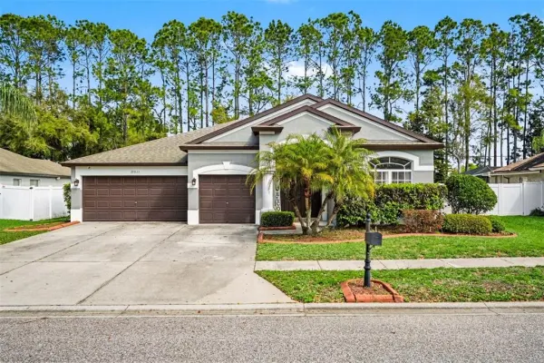 20835 Riverforest Drive, Land O Lakes, FL, 34638