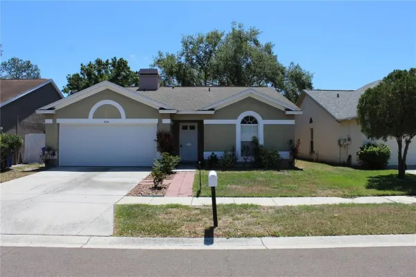 11111 Bramblebrush Street, Tampa, FL, 33624