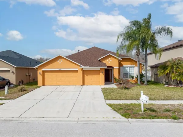 10416 Meadow Spring Drive, Tampa, FL, 33647