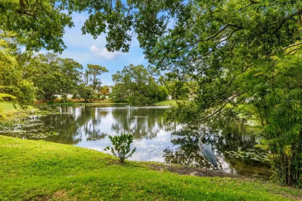10495 Longwood Drive, Seminole, FL, 33777