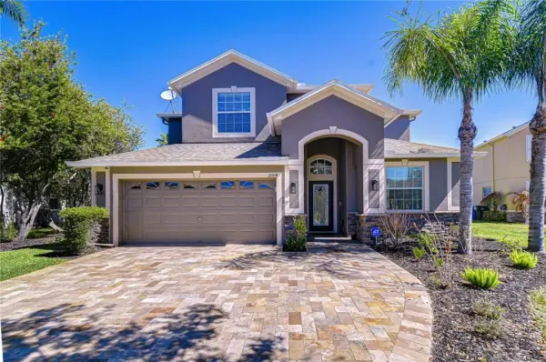 19914 Bluff Oak Boulevard, Tampa, FL, 33647