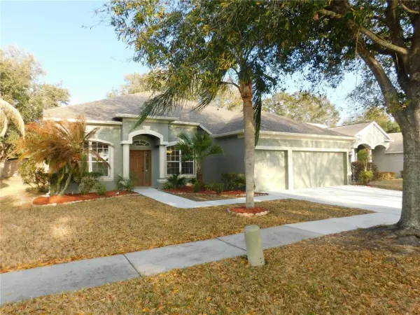 12902 Cattail Shore Lane, Riverview, FL, 33579