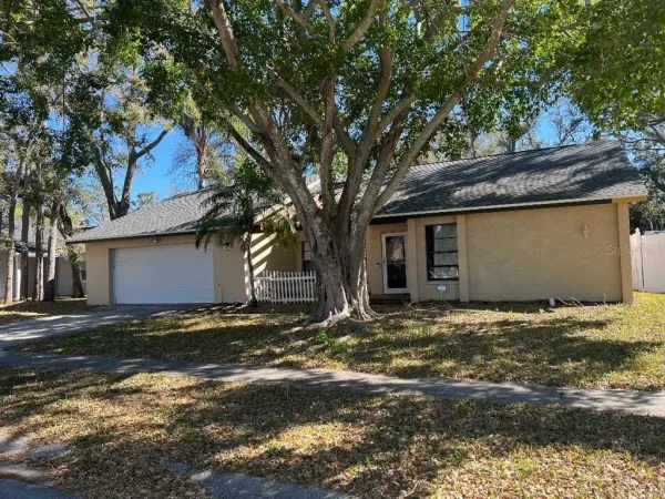 200 Arbor Drive W, Palm Harbor, FL, 34683