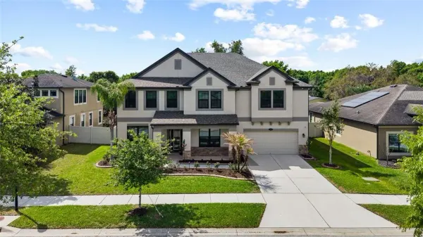 11741 Albatross Lane, Riverview, FL, 33569