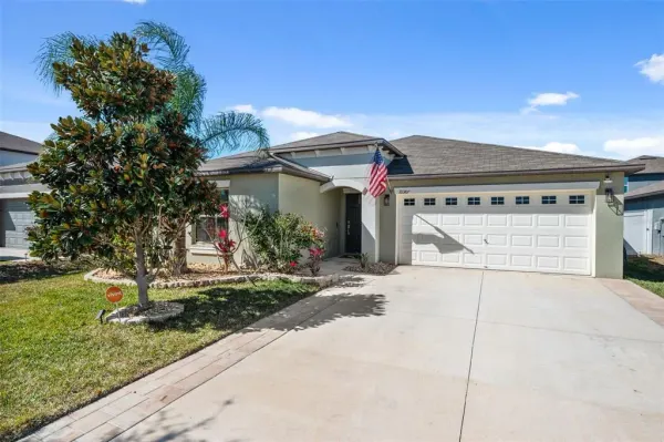 10387 Scarlet Skimmer Drive, Riverview, FL, 33578