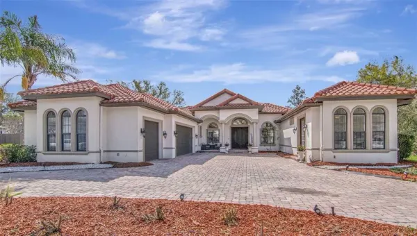 1022 Emerald Creek Drive, Valrico, FL, 33596