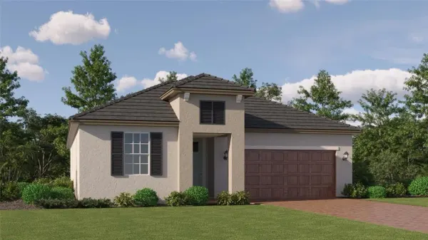 9408 Minnow Ray Drive, Land O Lakes, FL, 34638