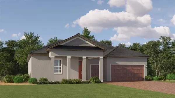 9327 Minnow Ray Drive, Land O Lakes, FL, 34638
