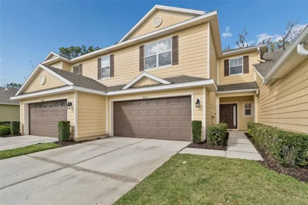 20112 Indian Rosewood Drive, Tampa, FL, 33647