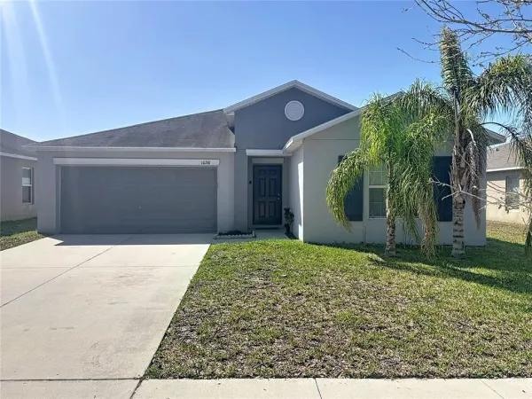 10241 Strawberry Tetra Drive, Riverview, FL, 33578