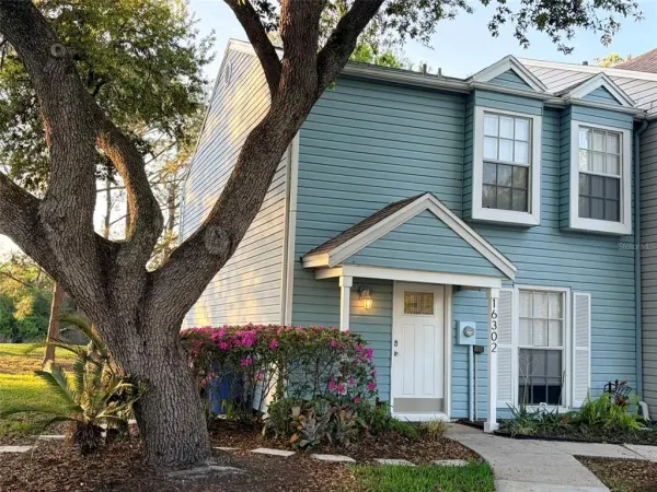 16302 Rambling Vine Drive W, Tampa, FL, 33624