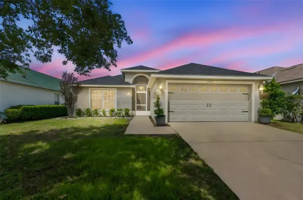 2909 Billingham Drive, Land O Lakes, FL, 34639
