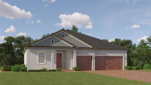 9343 Minnow Ray Drive, Land O Lakes, FL, 34638