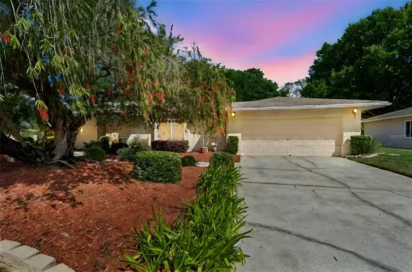9004 Hogans Bend, Tampa, FL, 33647