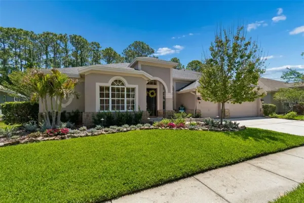 10423 Greenhedges Drive, Tampa, FL, 33626