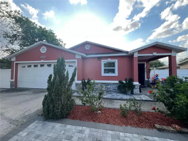 10804 N Myrtle Street, Tampa, FL, 33617