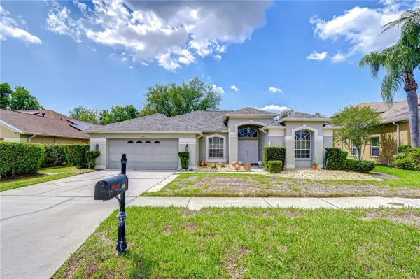 1535 Stipule Court, Trinity, FL, 34655