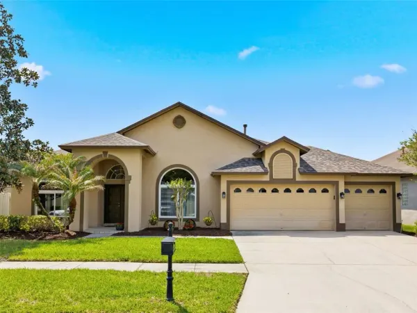 10017 Oxford Chapel Drive, Tampa, FL, 33647