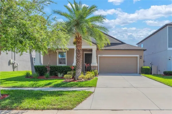 13932 Painted Bunting Ln, Riverview, FL, 33579