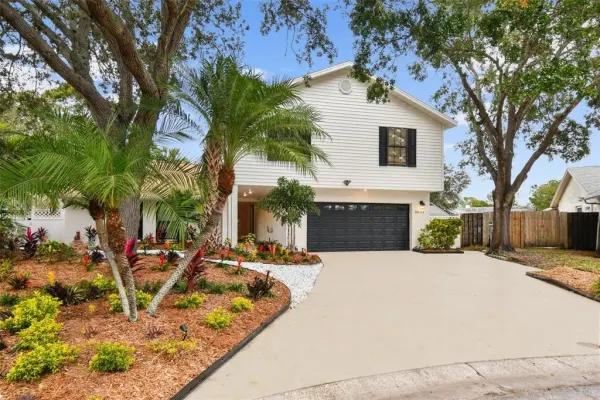 10503 Nile Court, Tampa, FL, 33615