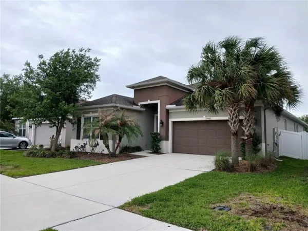29900 Walsh Oak Drive, Wesley Chapel, FL, 33545