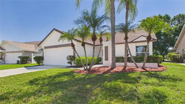 8609 Boysenberry Drive, Tampa, FL, 33635