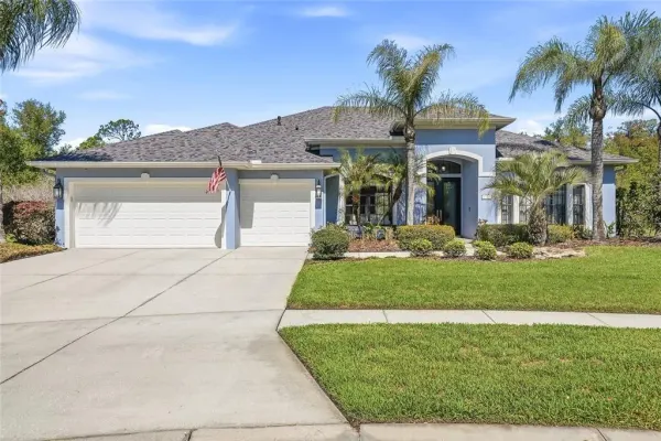 7101 Hatpin Loop, Wesley Chapel, FL, 33545