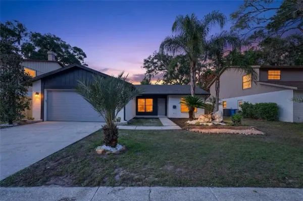 14841 Oak Vine Drive, Lutz, FL, 33559