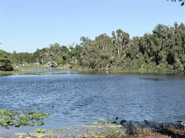 11505 N Rome Avenue, Tampa, FL, 33612