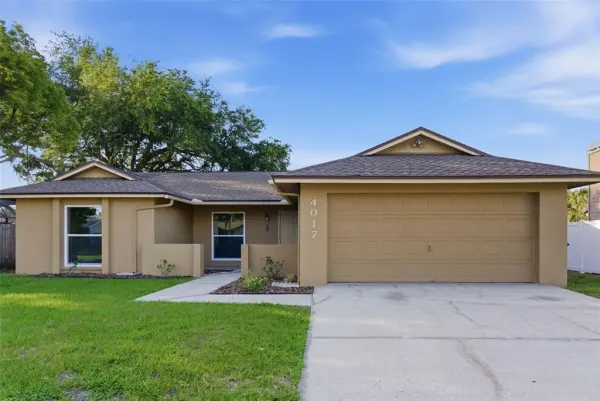 4017 Braesgate Lane, Tampa, FL, 33624
