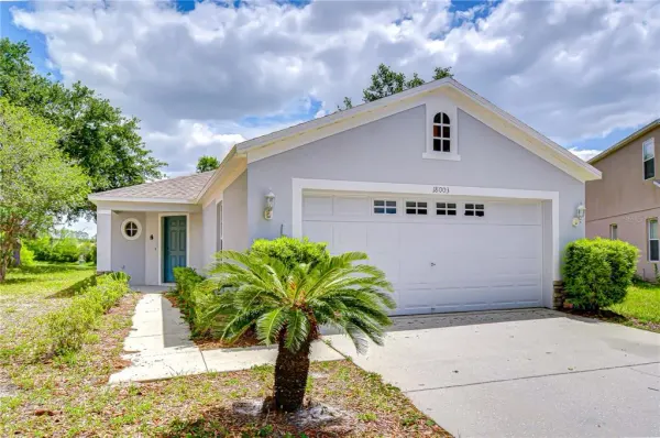 18003 Birdwater Drive, Tampa, FL, 33647
