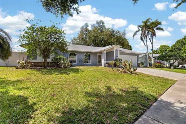 1668 Allens Ridge Drive N, Palm Harbor, FL, 34683