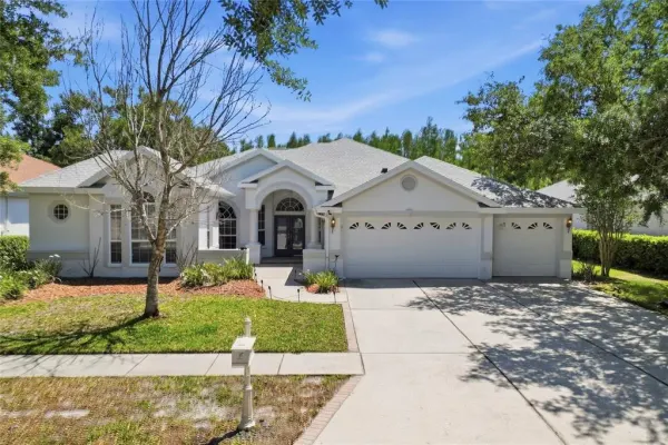 10206 Shadow Branch Drive, Tampa, FL, 33647