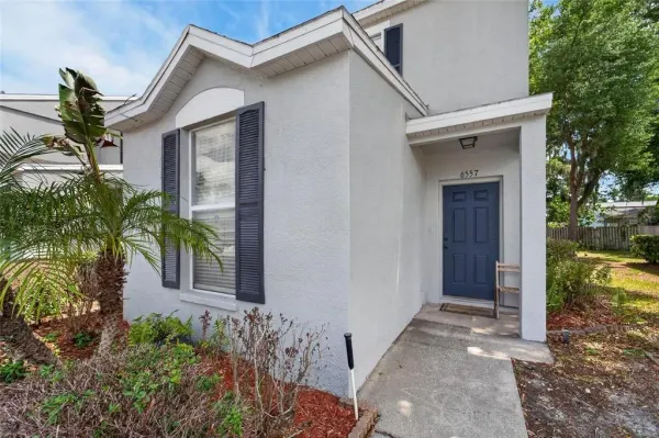 6557 Osprey Lake Circle, Riverview, FL, 33578