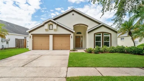 11708 Carrollwood Cove Drive, Tampa, FL, 33624