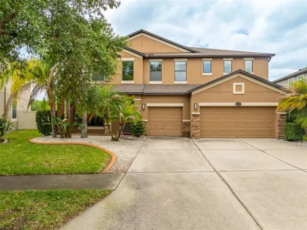 11511 Palmetto Pine Street, Riverview, FL, 33569