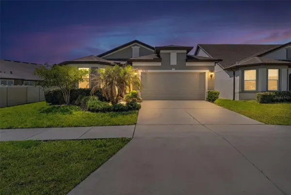 9748 Ibis Grove Boulevard, Wesley Chapel, FL, 33545