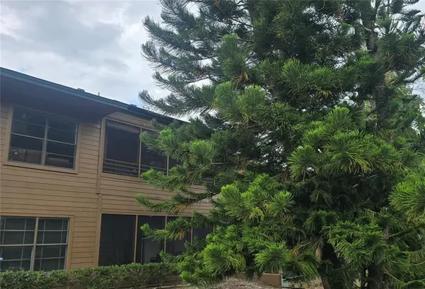406 Lennox Road W, Palm Harbor, FL, 34683