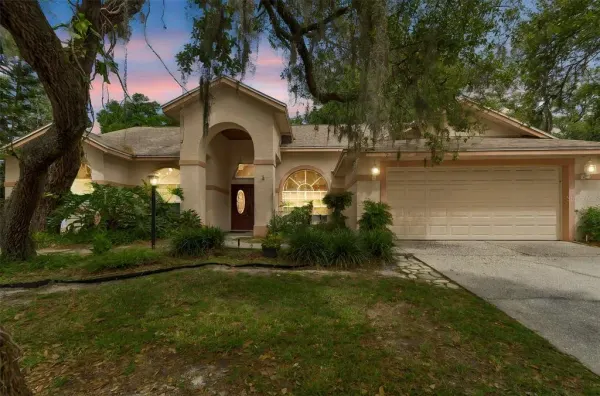 1336 Waterwood Drive, Lutz, FL, 33559