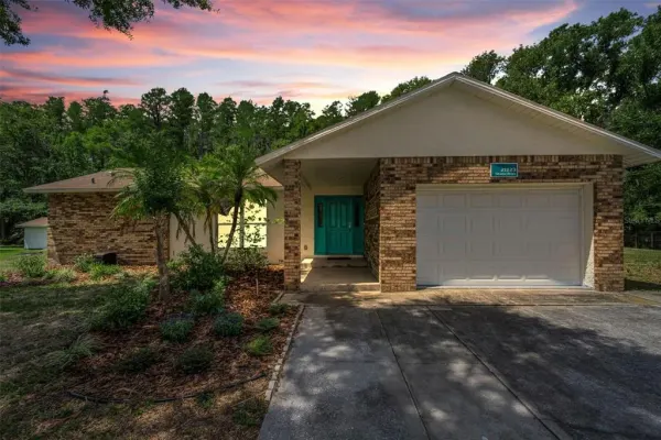 21823 Shamu Drive, Land O Lakes, FL, 34639