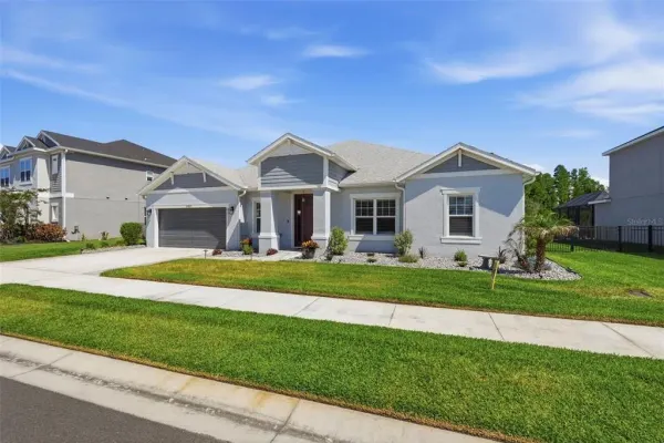 33805 Castaway Loop, Wesley Chapel, FL, 33543