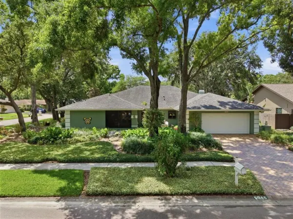 5046 Barrowe Drive, Tampa, FL, 33624